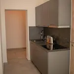 Apartment Rezidence Kbely - Free Parking